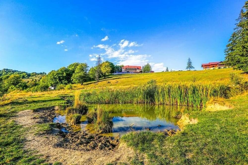 Cabana Trei Brazi Predeal Exteriér fotografie