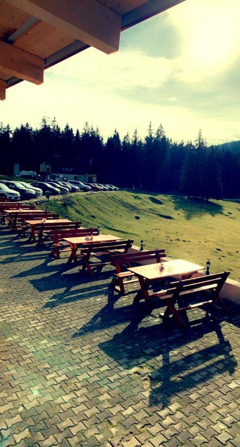 Cabana Trei Brazi Predeal Exteriér fotografie