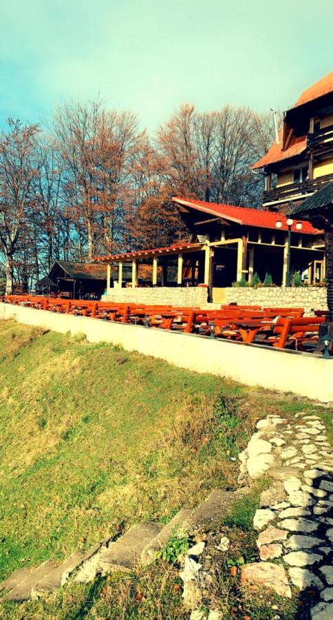 Cabana Trei Brazi Predeal Exteriér fotografie