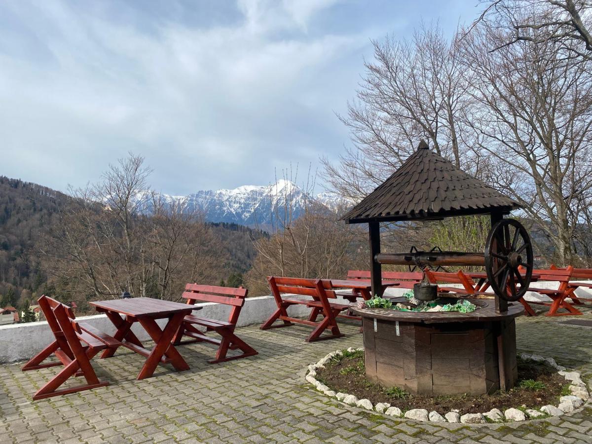 Cabana Trei Brazi Predeal Exteriér fotografie